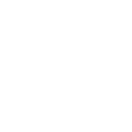 Emerce100 2022