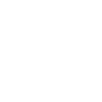 Footer logo NL Groeit Top 250 Groeibedrijven