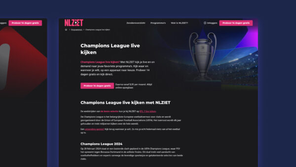 NLziet website slide 3