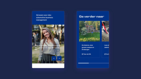 Iva website 2
